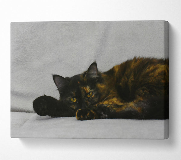  A Canvas Print of Black And Orange Rest Canvas Art