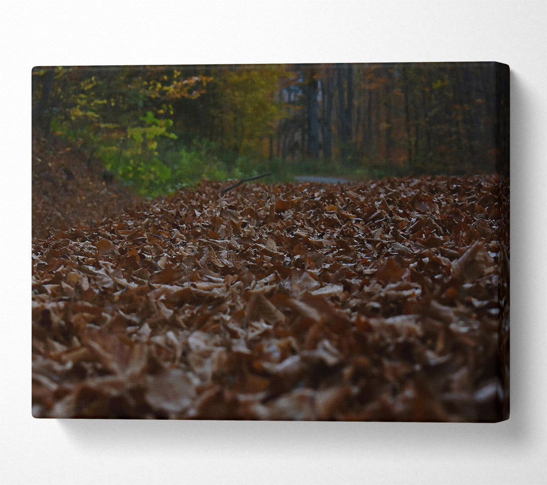  A Canvas Print of Loading... Canvas Print