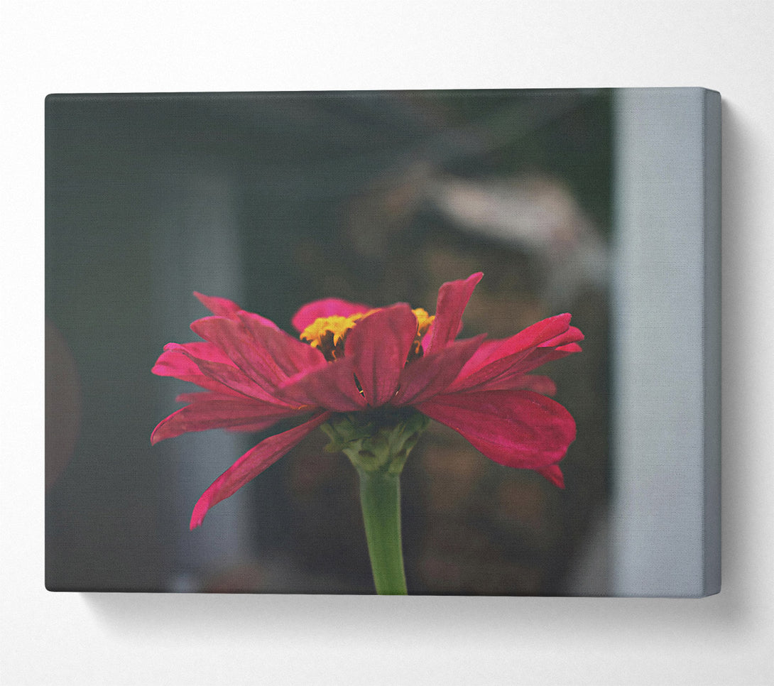  A Canvas Print of Loading... Canvas Print