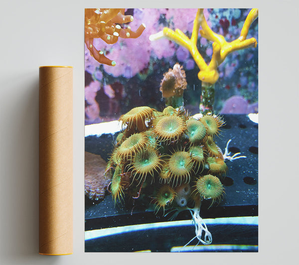 Green And Orange Blooms Giclee Print