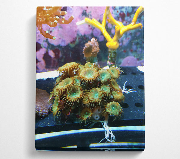  A Canvas Print of Green And Orange Blooms Canvas Art