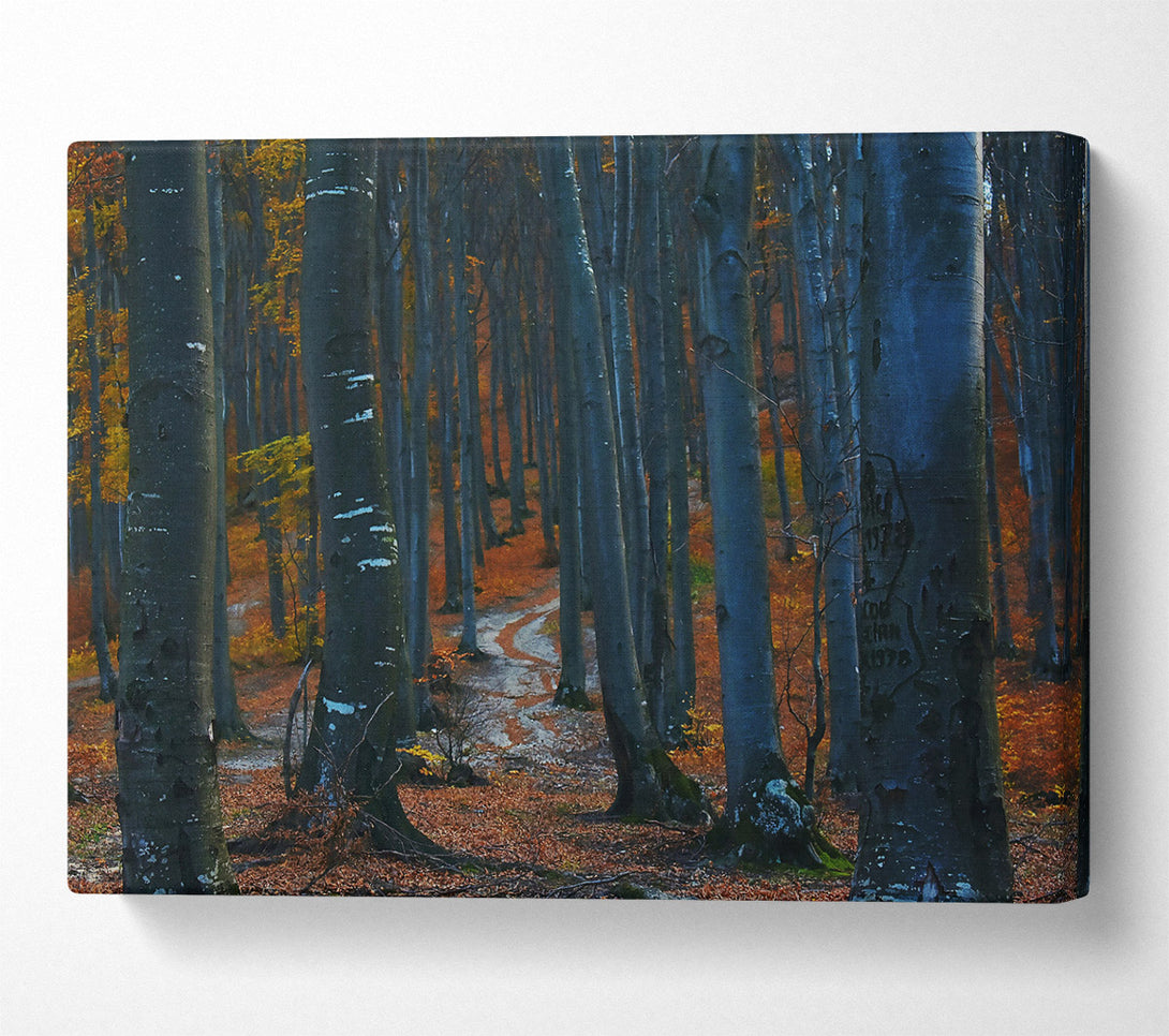  A Canvas Print of Blue Forest Path Canvas Art