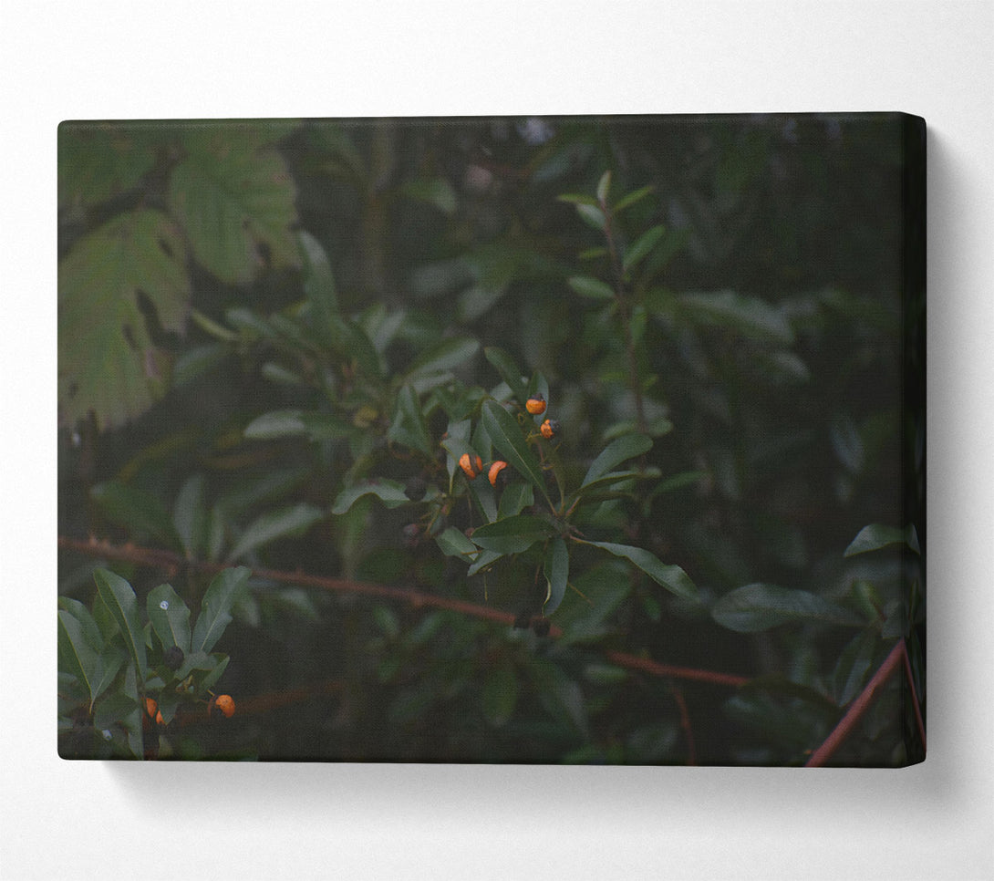  A Canvas Print of Loading... Canvas Print