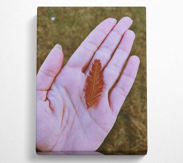 A Canvas Print of Russet Leaf In Palm Canvas Wall Art