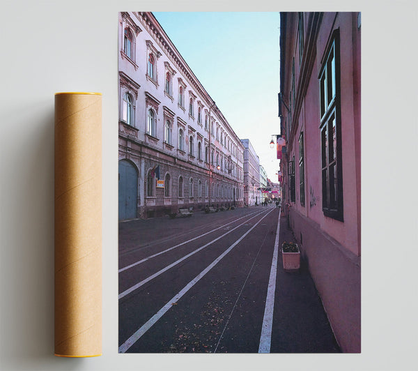 Pink City Street Poster