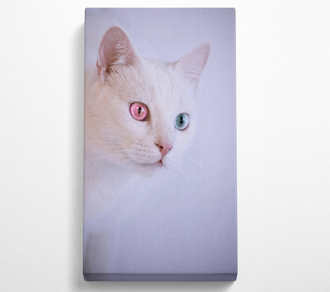  A Canvas Print of Pink-Eyed Wonder Canvas Print