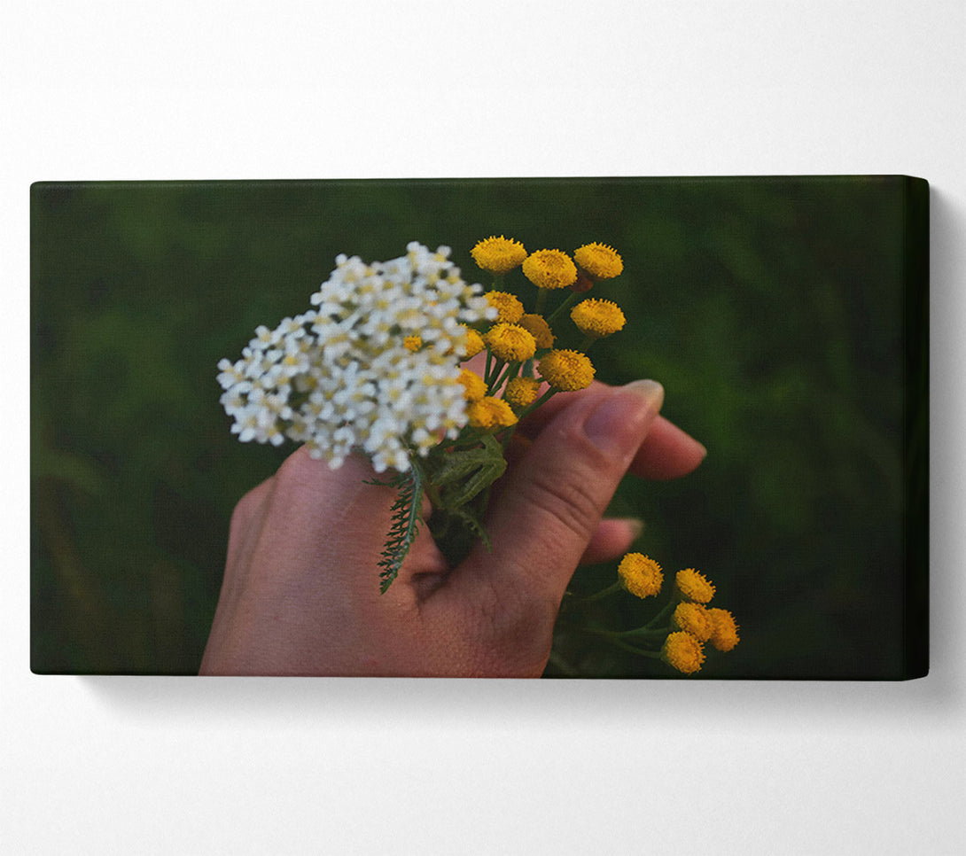  A Canvas Print of Golden Summer Bloom Canvas Art