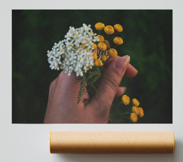 Golden Summer Bloom Giclee Print