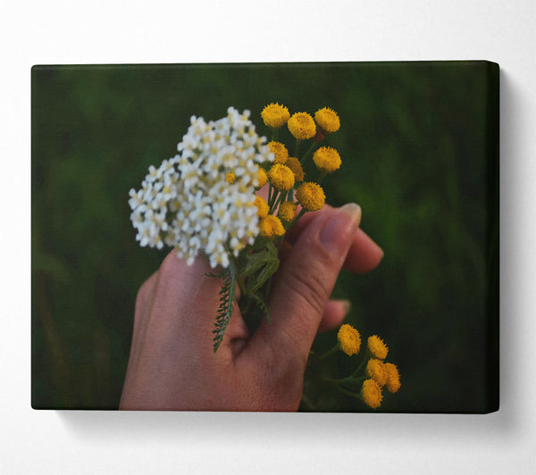  A Canvas Print of Golden Summer Bloom Canvas Art