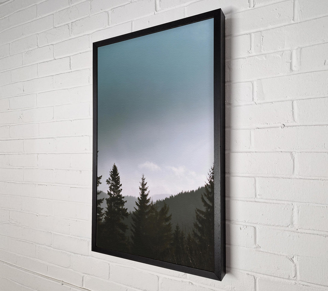  A Canvas Print of Pale Blue Pines Canvas Art