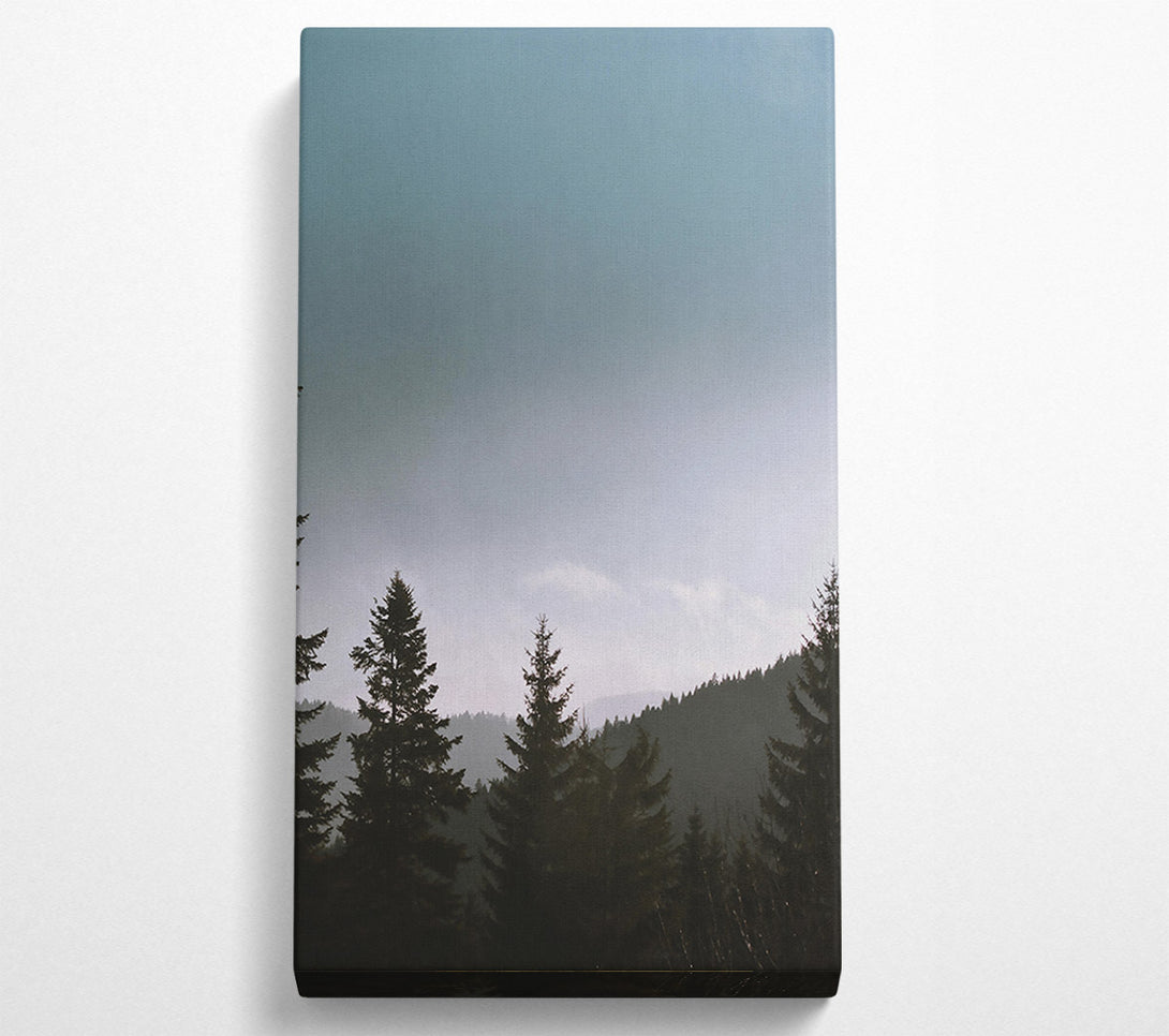  A Canvas Print of Pale Blue Pines Canvas Art