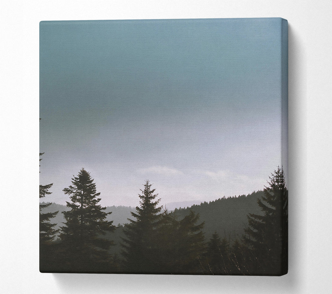  A Canvas Print of Pale Blue Pines Canvas Art