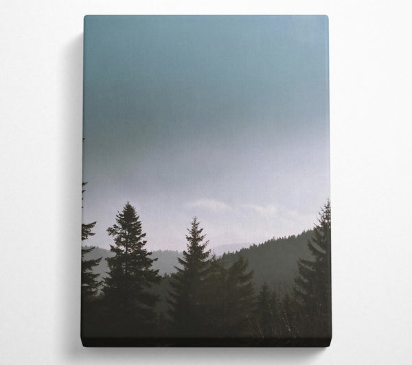  A Canvas Print of Pale Blue Pines Canvas Art