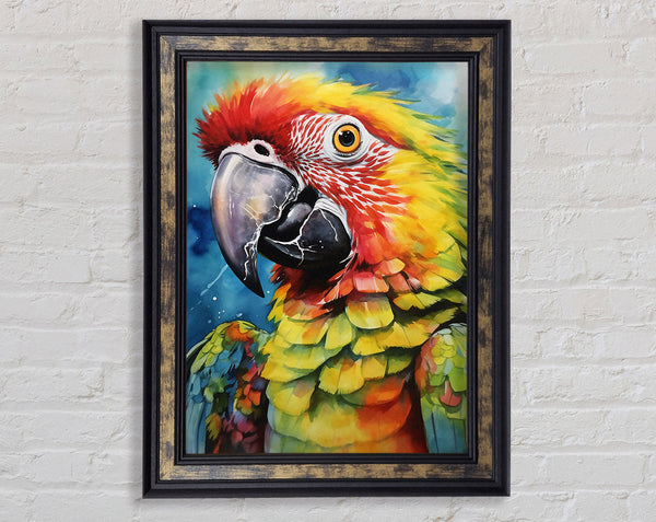 Macaw Parrot Watercolour Framed Print