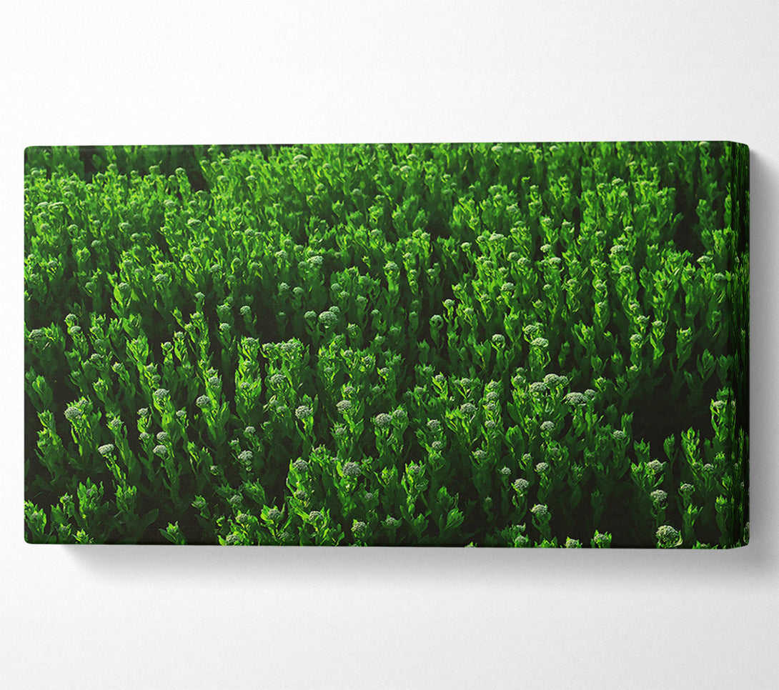  A Canvas Print of Emerald Green Fields Canvas Wall Art