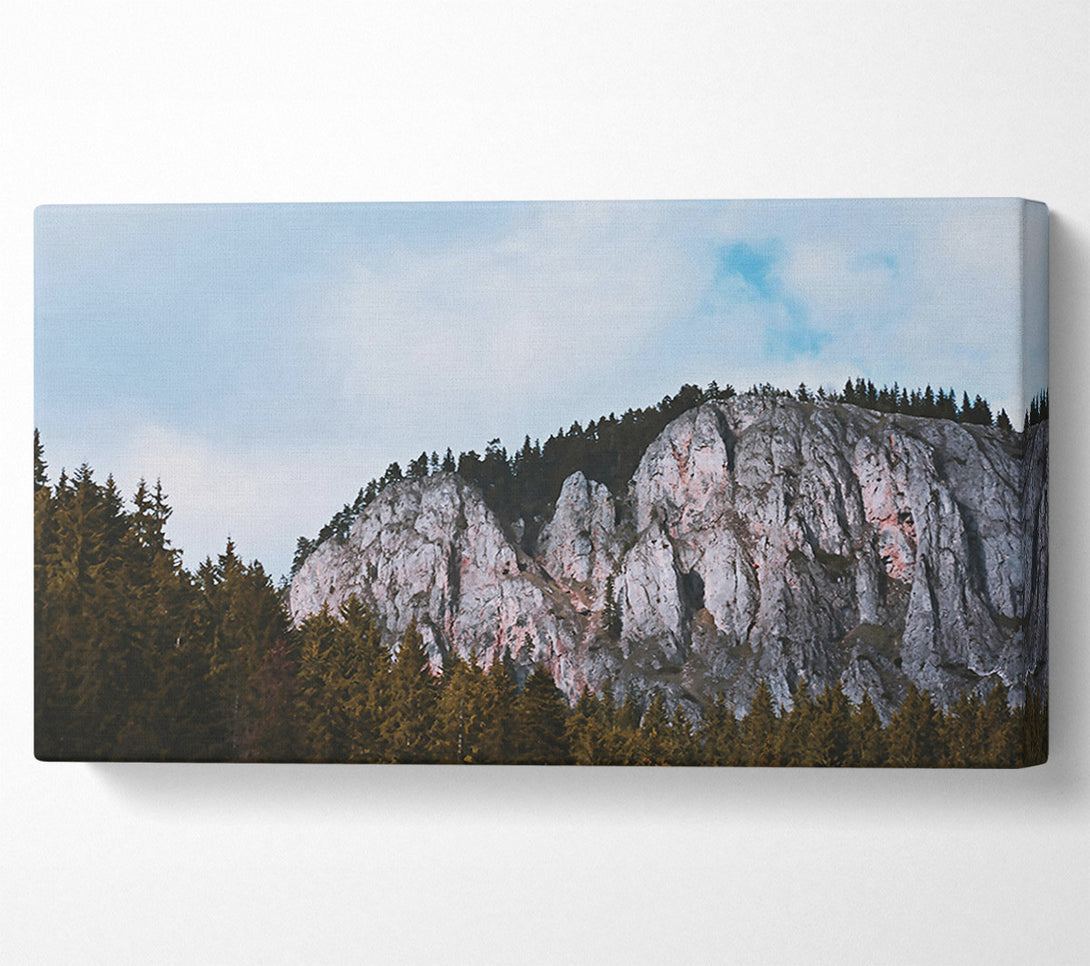  A Canvas Print of Gray Cliffs And Pines Canvas Print