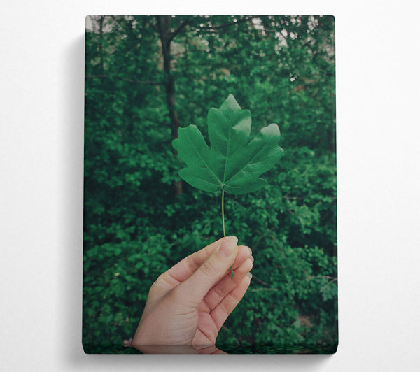  A Canvas Print of Emerald Green Leaf Canvas Wall Art