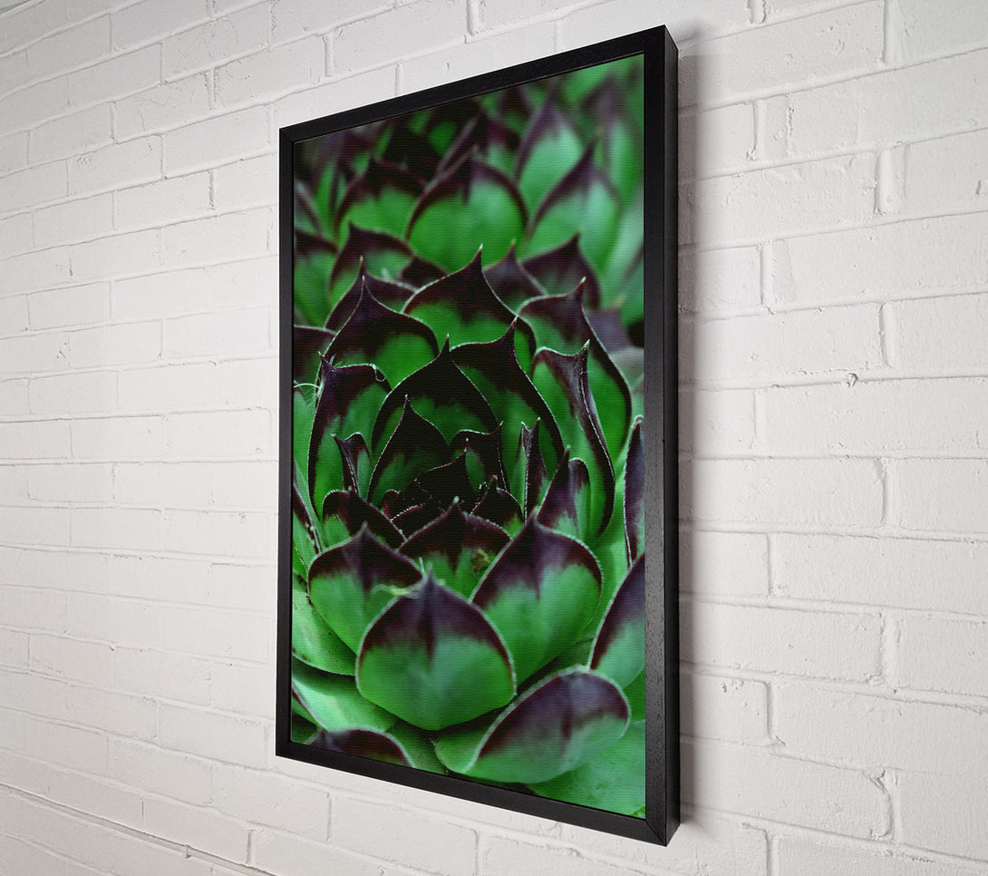  A Canvas Print of Emerald Green Succulent Canvas Art