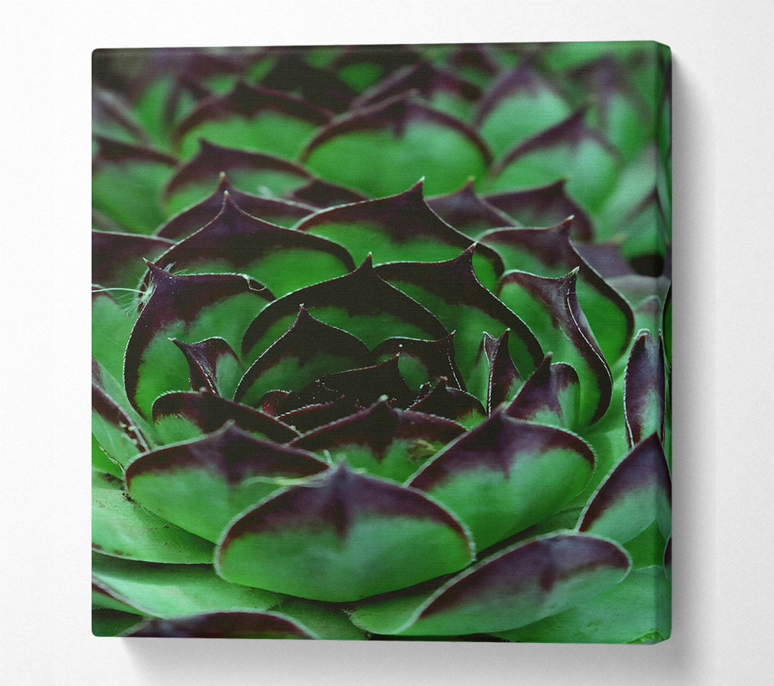  A Canvas Print of Emerald Green Succulent Canvas Art