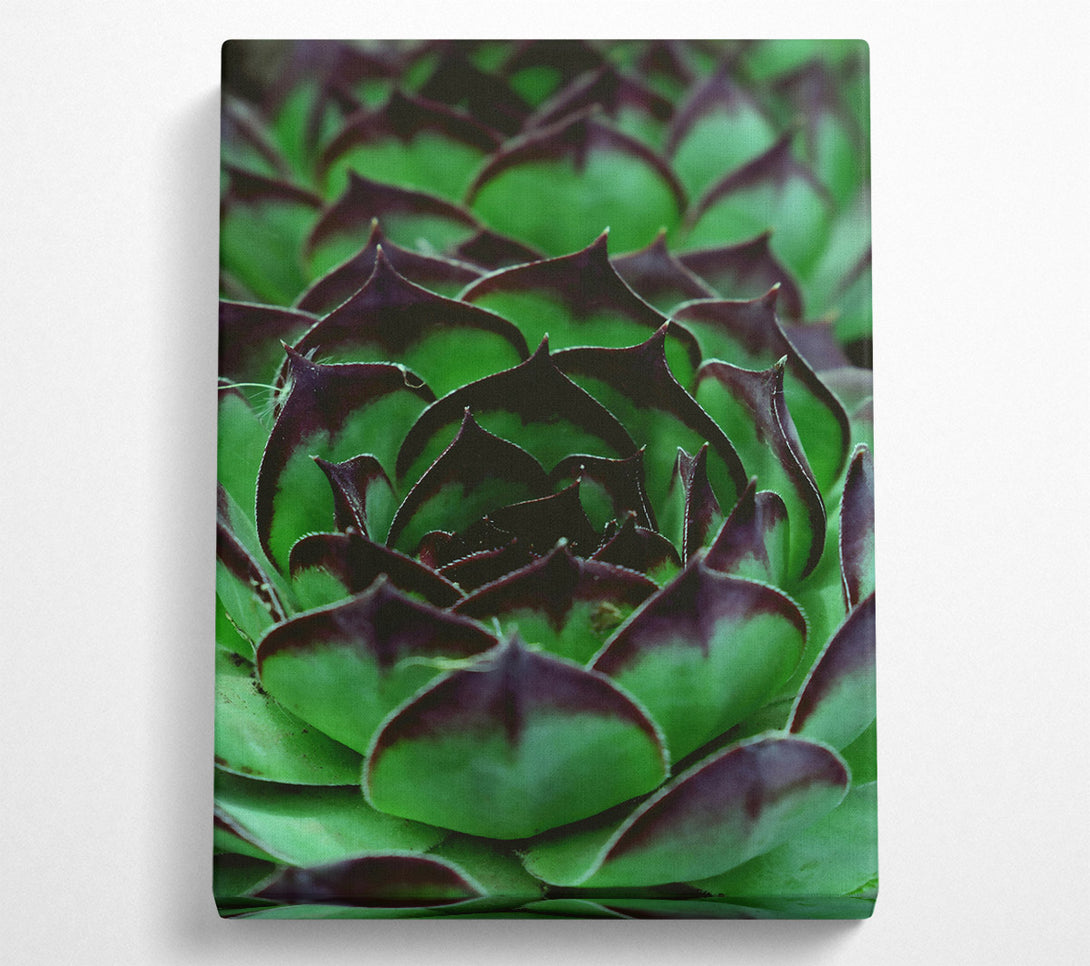  A Canvas Print of Emerald Green Succulent Canvas Art