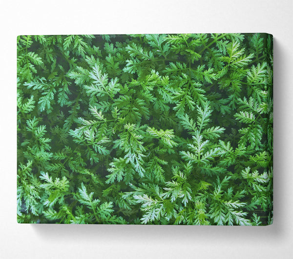  A Canvas Print of Emerald Green Foliage Canvas Wall Art