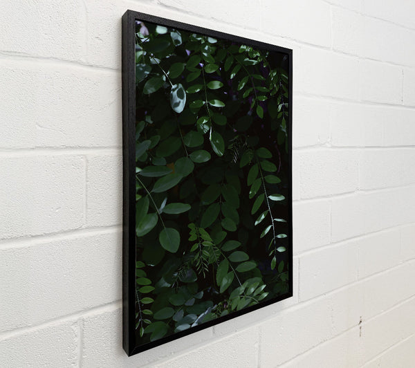 Emerald Green Canopy