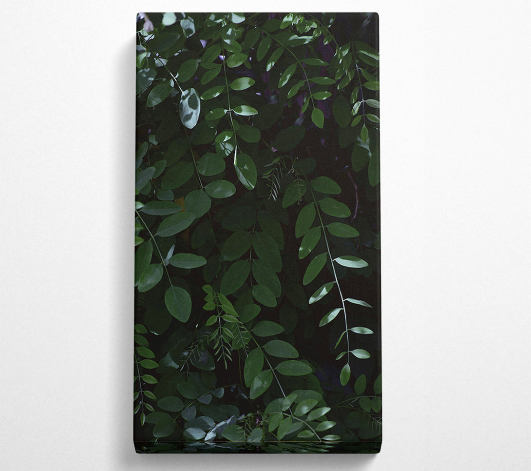  A Canvas Print of Emerald Green Canopy Canvas Wall Art