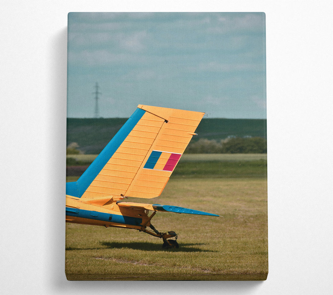  A Canvas Print of Yellow Plane Tail Canvas Art