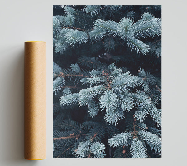 Powder Blue Sprigs Giclee Print