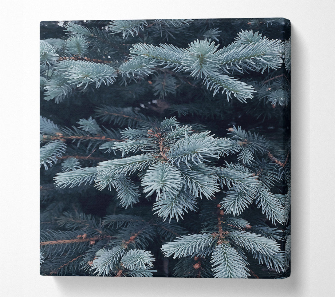  A Canvas Print of Powder Blue Sprigs Canvas Art