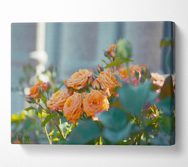  A Canvas Print of Peach Rose Bouquet Canvas Print