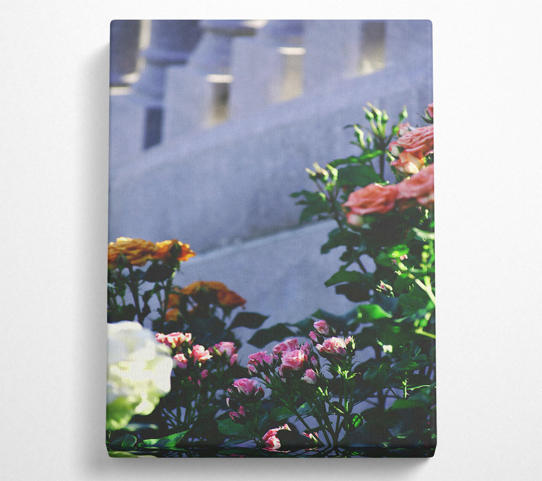  A Canvas Print of Pink Roses In Bloom Canvas Wall Art