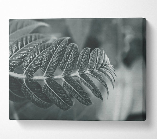  A Canvas Print of Gray Leaf Branch Canvas Print