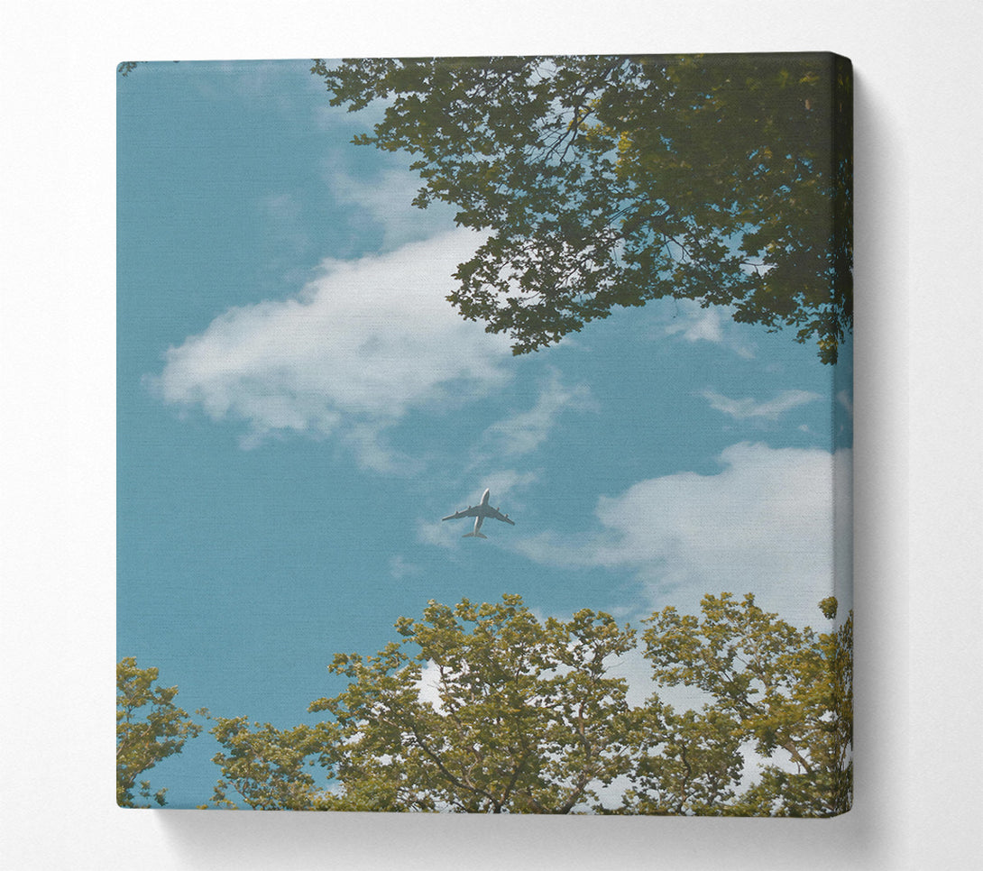  A Canvas Print of Blue Sky Plane Flight Canvas Wall Art