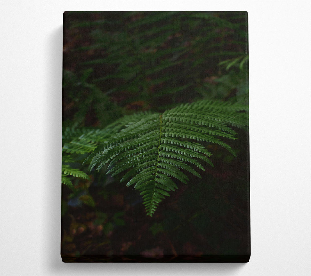 A Canvas Print of Emerald Fern Fronds Canvas Art