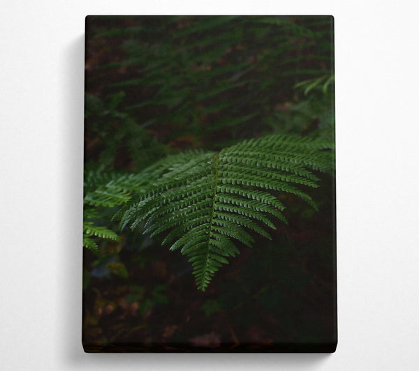 Emerald Fern Fronds Canvas Art