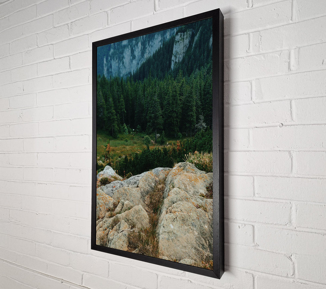  A Canvas Print of Green Mountain Lichen Canvas Wall Art