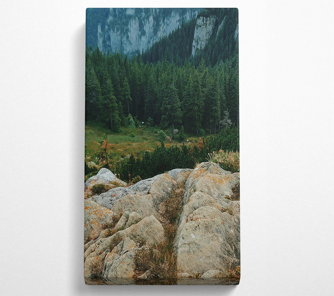  A Canvas Print of Green Mountain Lichen Canvas Wall Art