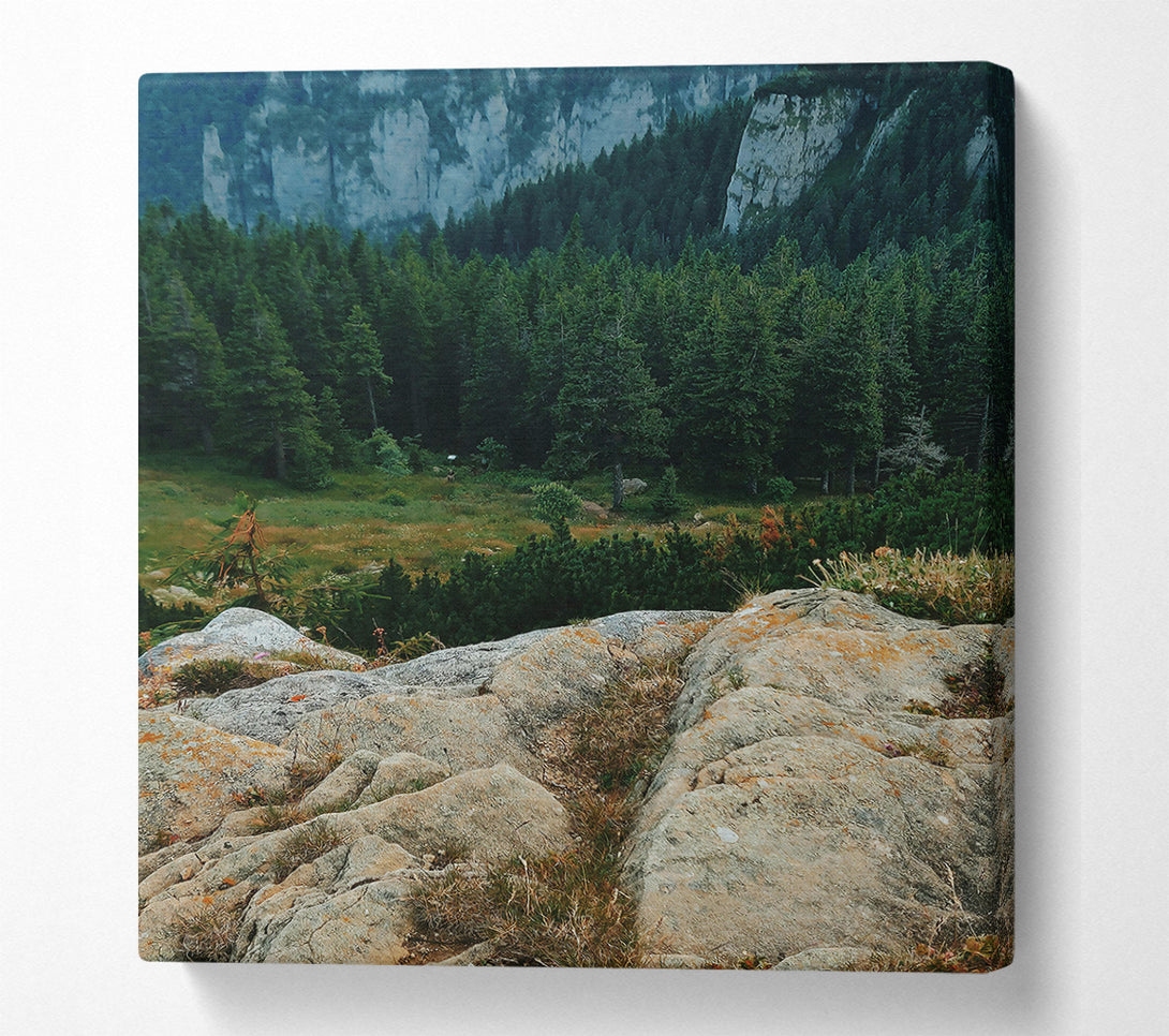  A Canvas Print of Green Mountain Lichen Canvas Wall Art