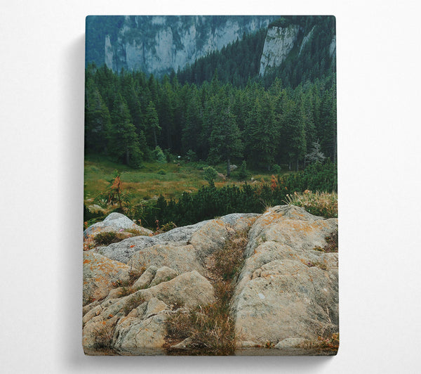Green Mountain Lichen Canvas Wall Art