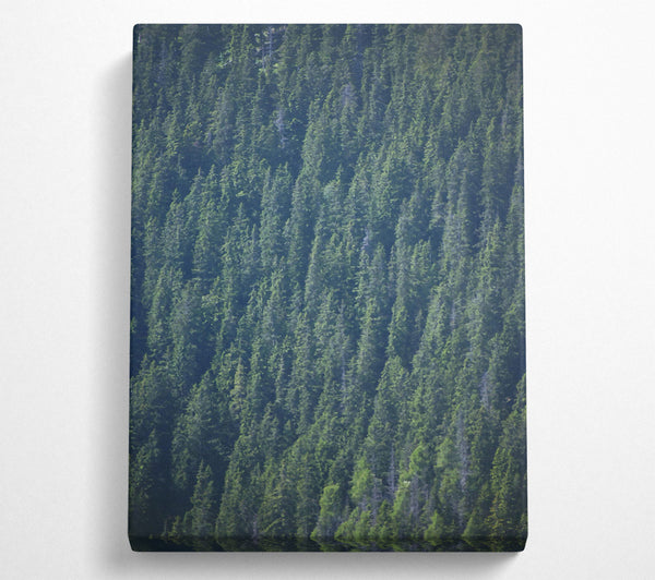 Emerald Forest Canopy Canvas Print