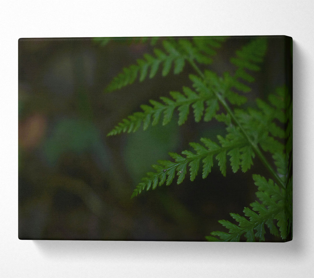  A Canvas Print of Emerald Fern Fronds Canvas Art