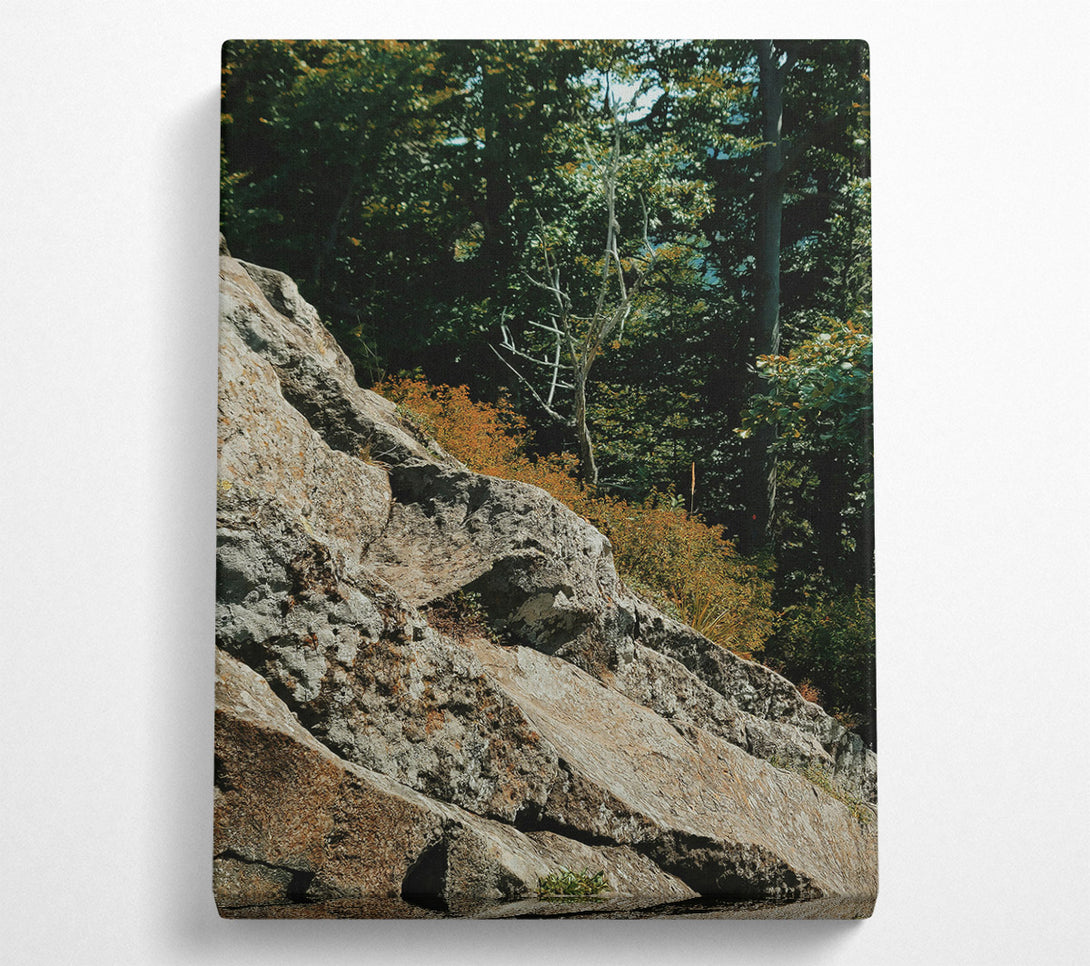  A Canvas Print of Loading... Canvas Print