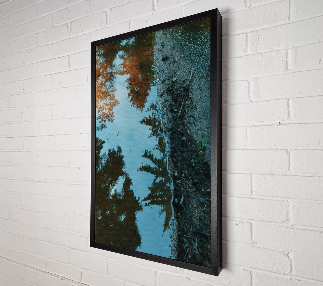  A Canvas Print of Blue Reflection In The Trees Canvas Print