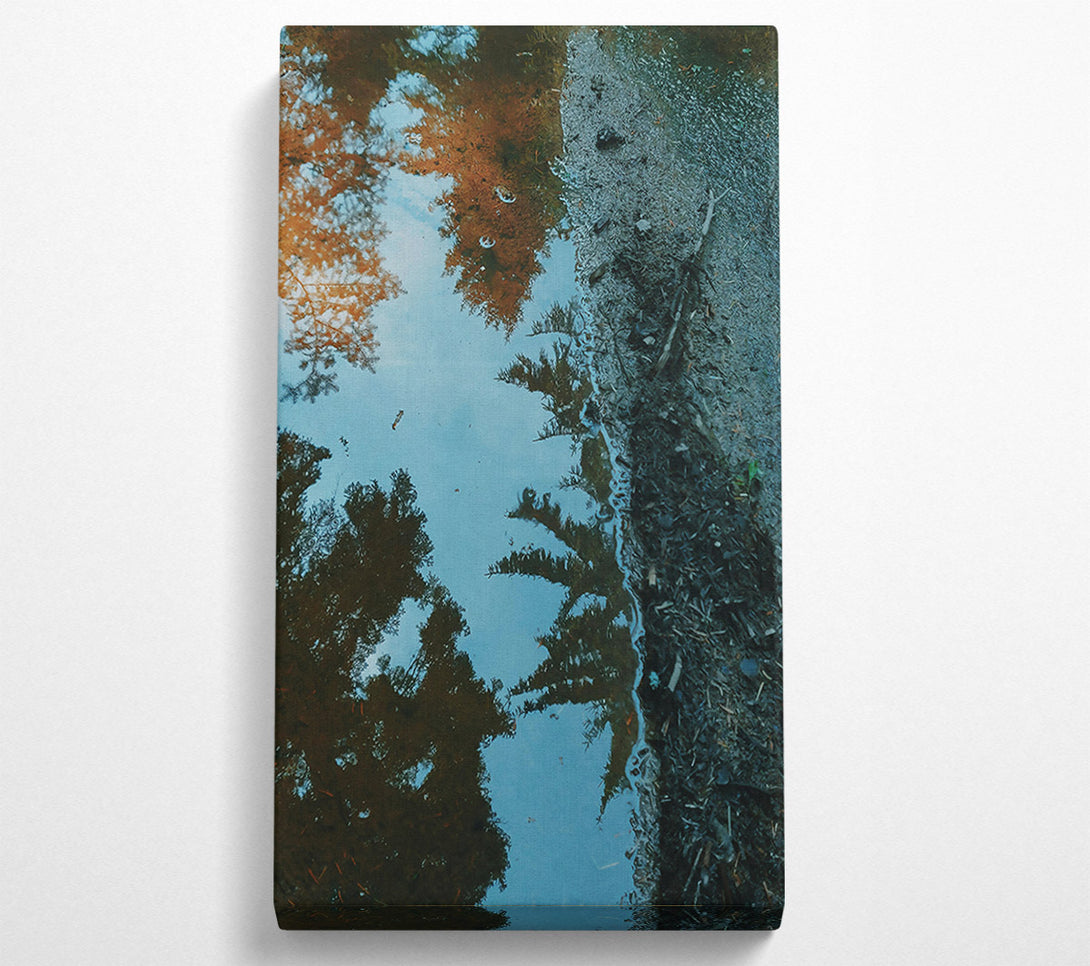  A Canvas Print of Blue Reflection In The Trees Canvas Print