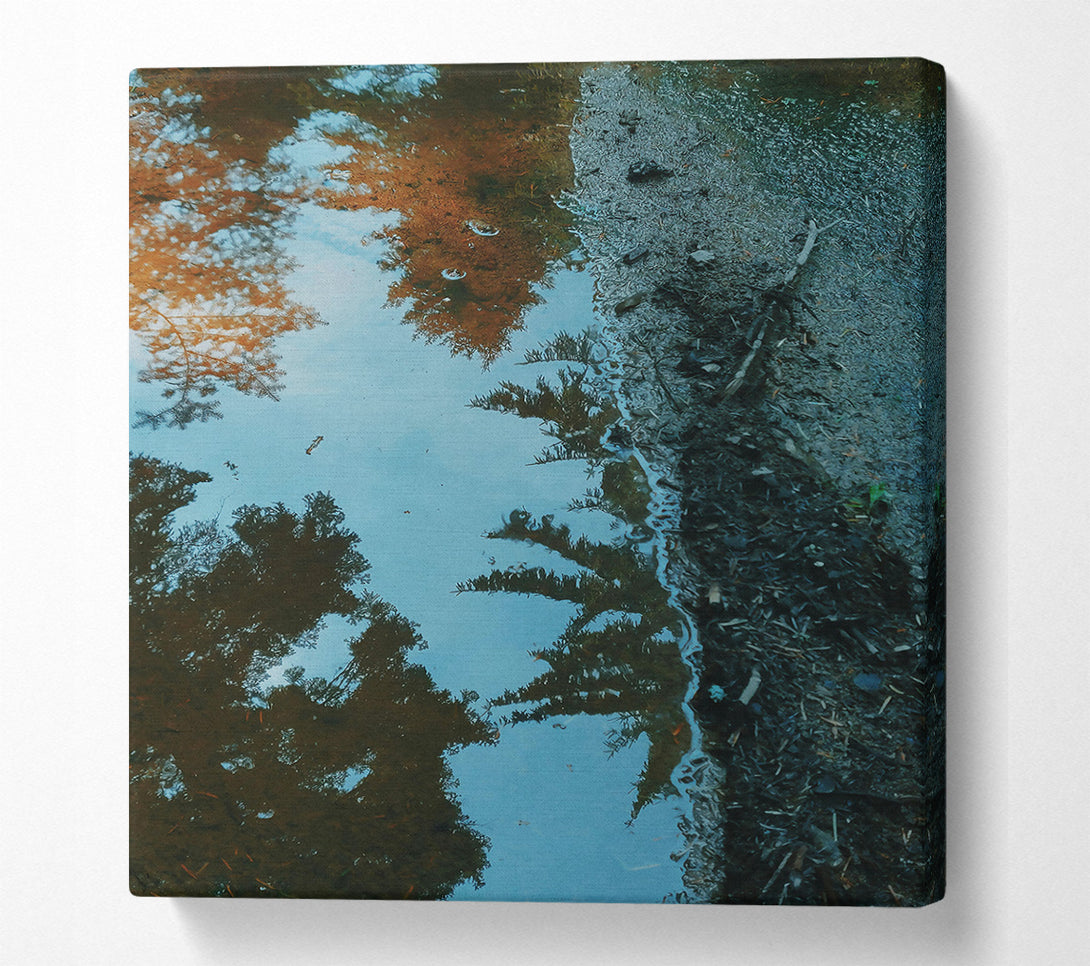  A Canvas Print of Blue Reflection In The Trees Canvas Print
