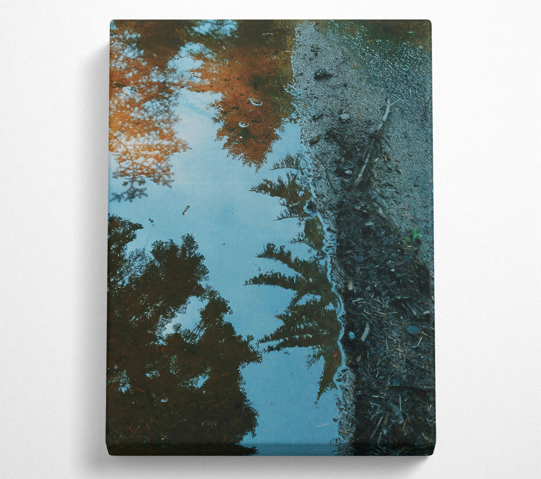  A Canvas Print of Blue Reflection In The Trees Canvas Print