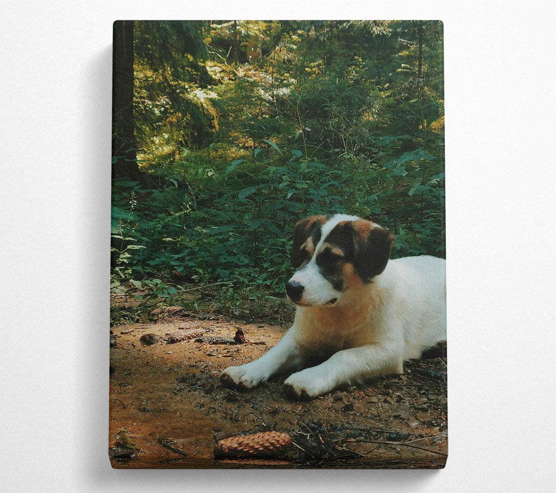  A Canvas Print of Loading... Canvas Print