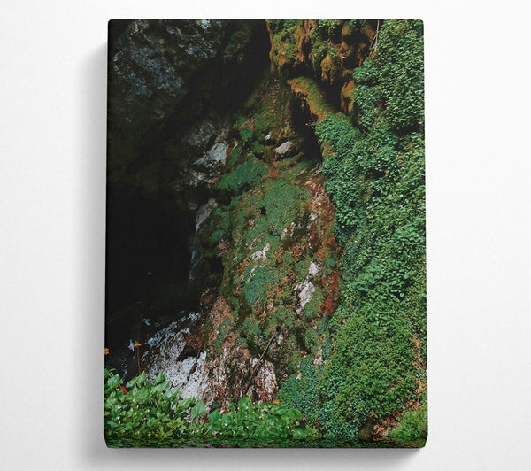  A Canvas Print of Emerald Cave Mouth Canvas Wall Art