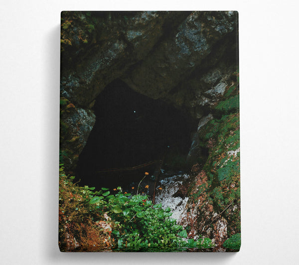 Green Mouth Of The Cave Canvas Print